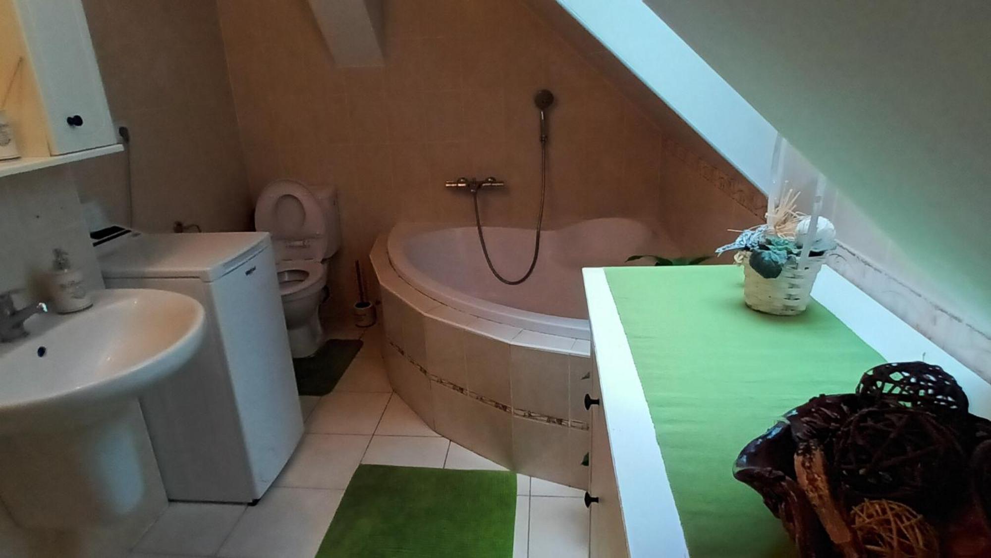 Apartmany Pod Putimskou Branou Písek エクステリア 写真